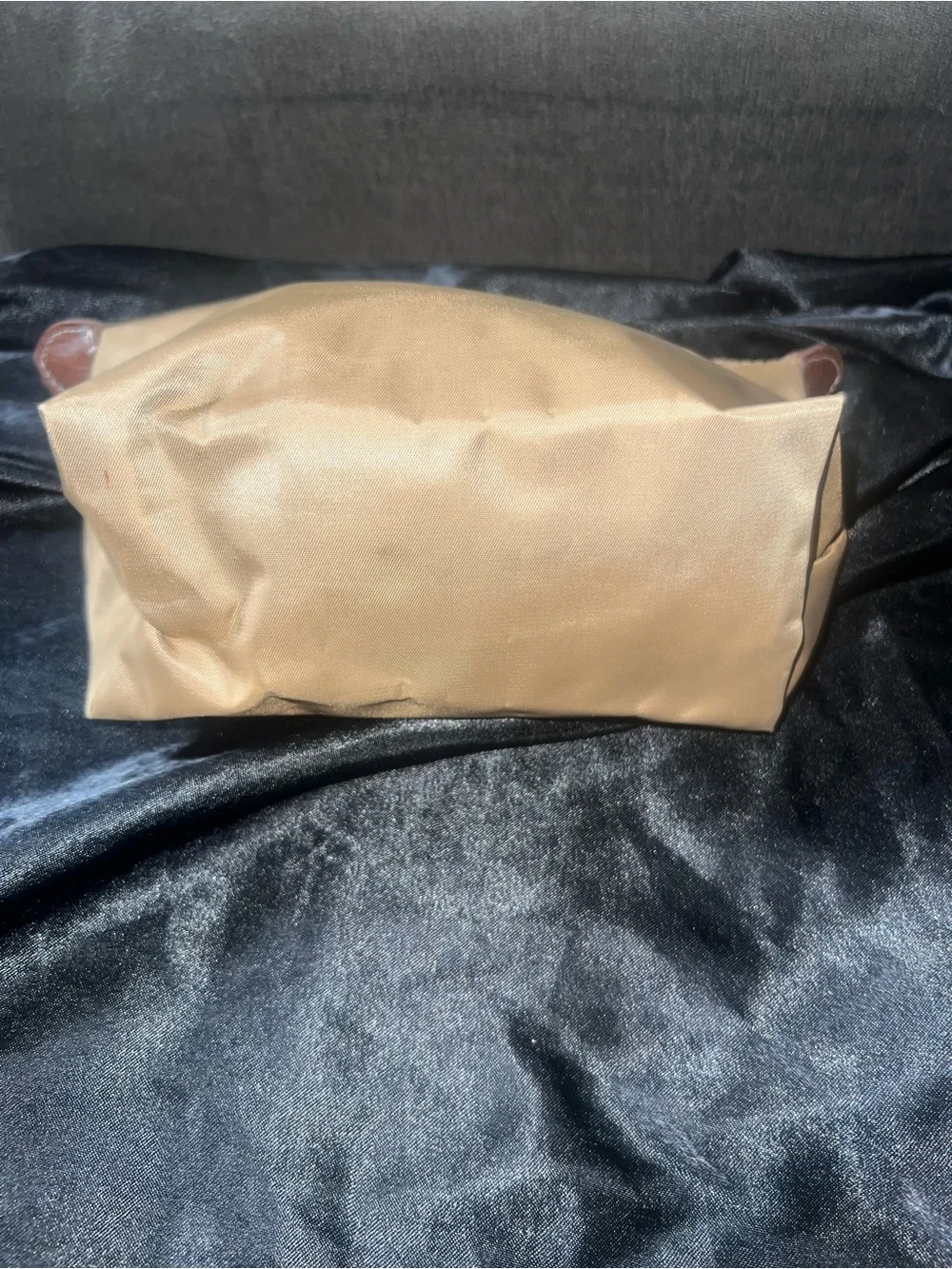 Longchamp pouch